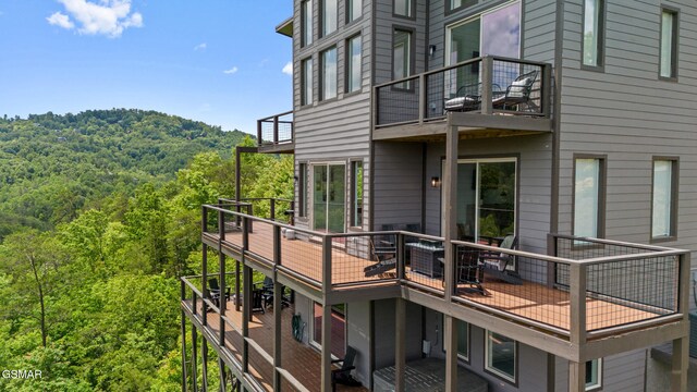 2955 Lightning Strike Dr, Sevierville, TN 37862 - photo 46