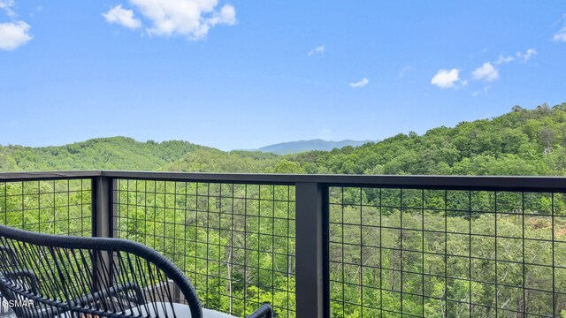 2955 Lightning Strike Dr, Sevierville, TN 37862 - photo 57