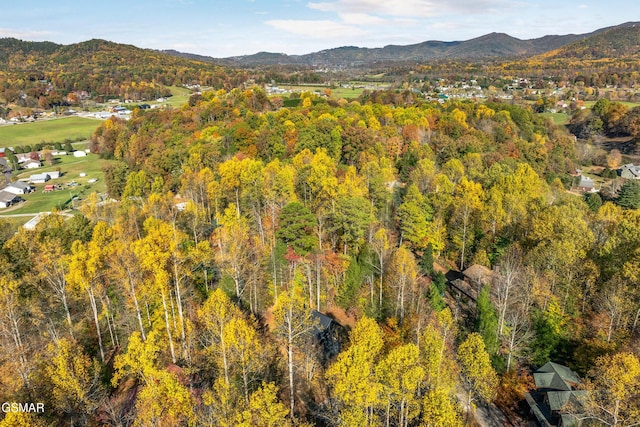 property view of mountains featuring a wooded view