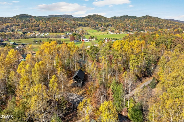 view of mountain feature featuring a wooded view