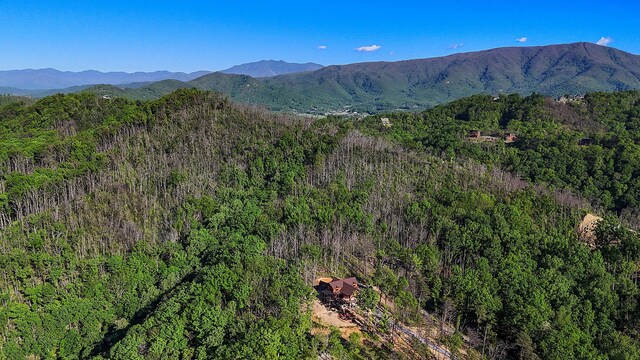 property view of mountains