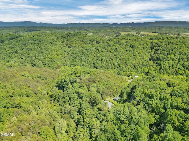 1668 Goodwater Rd, Bybee, TN 37713 - photo 17