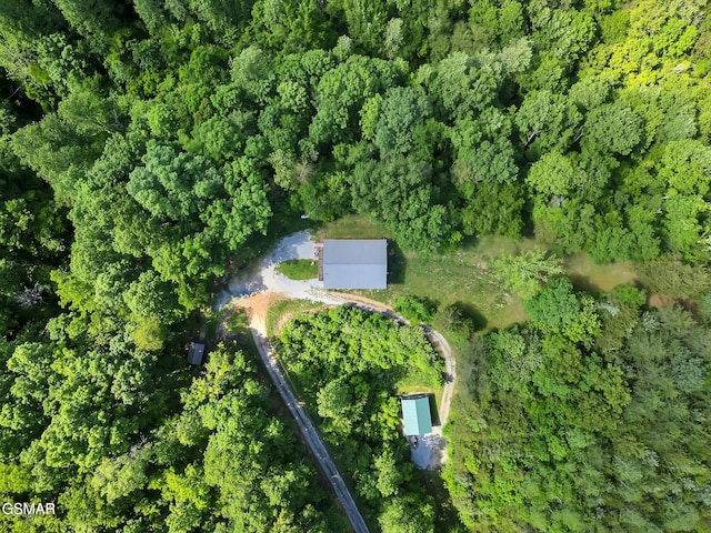 1668 Goodwater Rd, Bybee, TN 37713 - photo 21