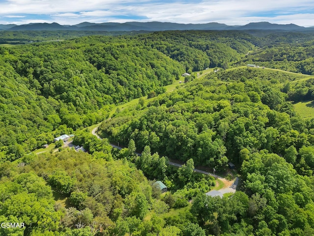 1668 Goodwater Rd, Bybee, TN 37713 - photo 22