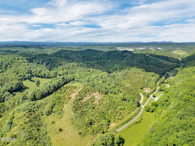 1668 Goodwater Rd, Bybee, TN 37713 - photo 13