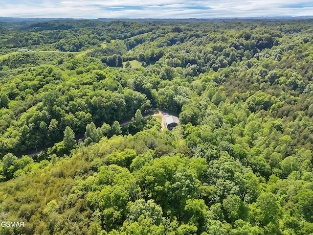 1668 Goodwater Rd, Bybee, TN 37713 - photo 19