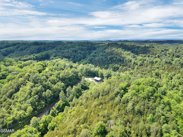 1668 Goodwater Rd, Bybee, TN 37713 - photo 12