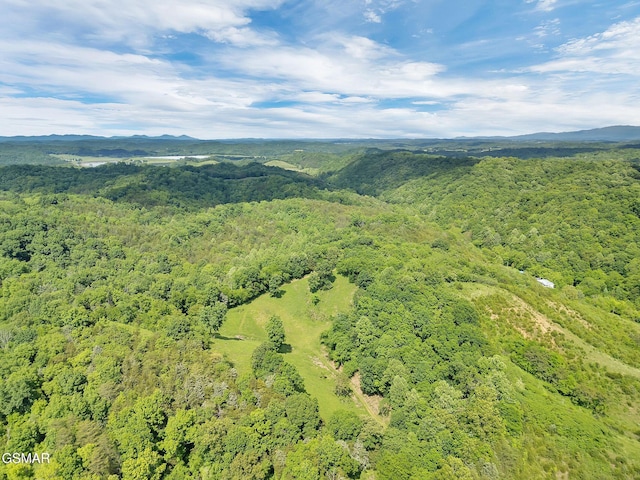 1668 Goodwater Rd, Bybee, TN 37713 - photo 16