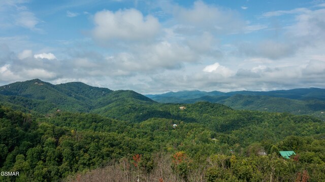 Lot2 Headrick Lead, Sevierville, TN 37862 - photo 2