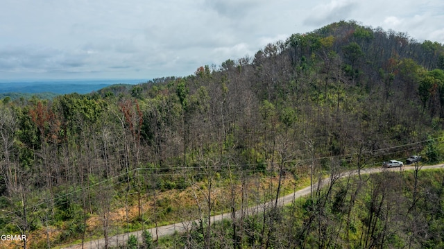 Lot2 Headrick Lead, Sevierville, TN 37862 - photo 4