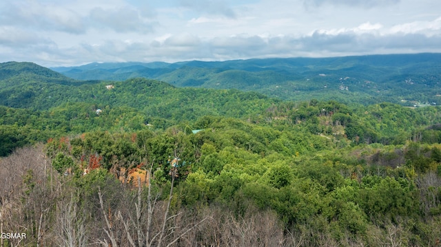 Lot2 Headrick Lead, Sevierville, TN 37862 - photo 1