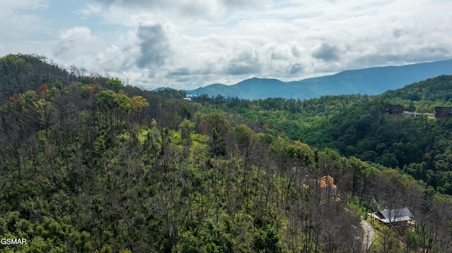 Lot2 Headrick Lead, Sevierville, TN 37862 - photo 3