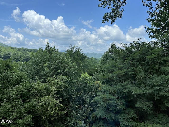 3746 Swearingen Way, Sevierville, TN 37862 - photo 3