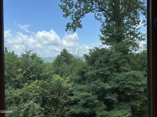 3746 Swearingen Way, Sevierville, TN 37862 - photo 4