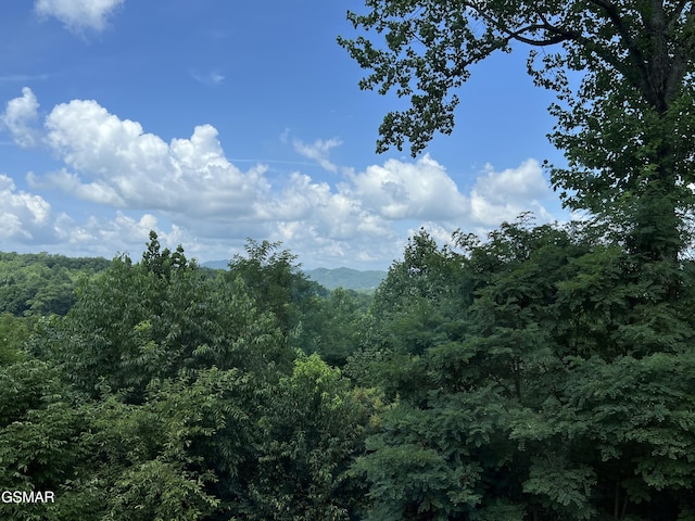 3746 Swearingen Way, Sevierville, TN 37862 - photo 5