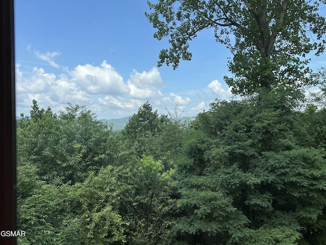3746 Swearingen Way, Sevierville, TN 37862 - photo 2
