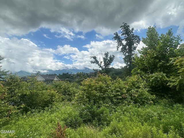 909 N Woodland Dr, Gatlinburg, TN 37738