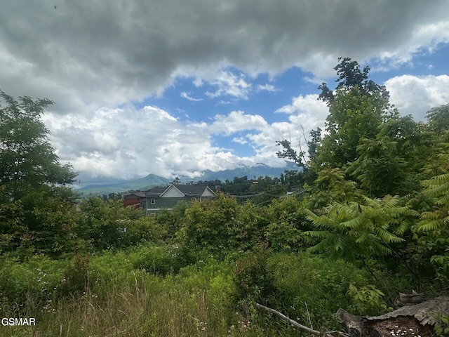 909 N Woodland Dr, Gatlinburg, TN 37738