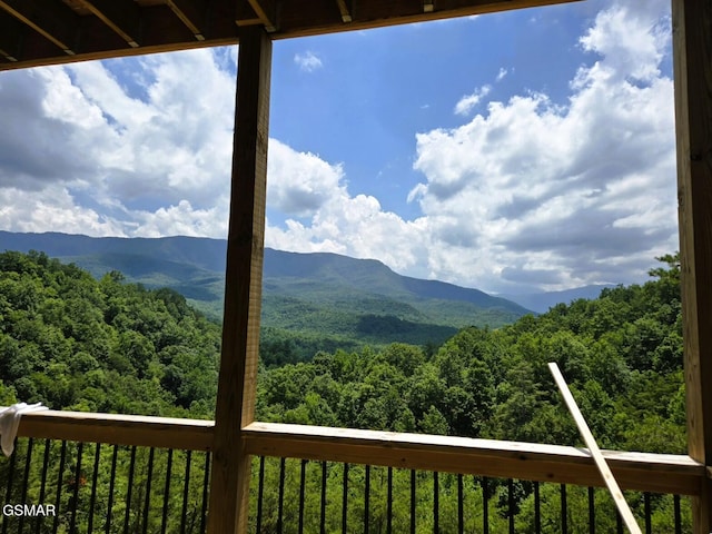 3959 Duck Hollow Rd, Gatlinburg, TN 37738 - photo 20