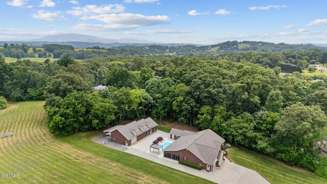 225 Piney Rd, Kodak, TN 37764 - photo 46