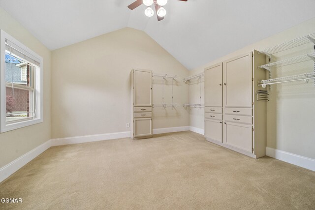 225 Piney Rd, Kodak, TN 37764 - photo 23