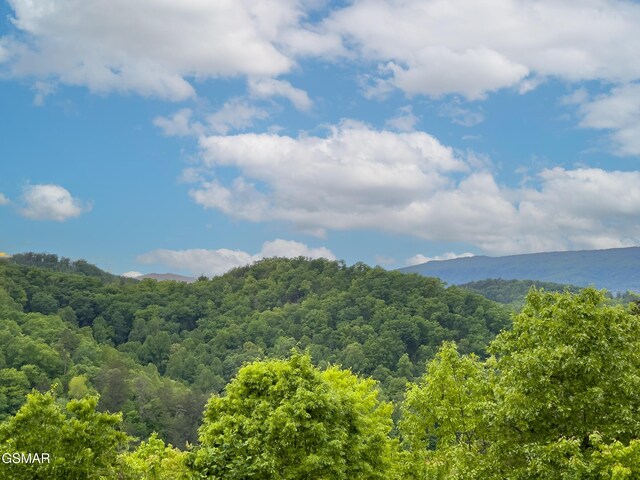2316 Boulder Way, Sevierville, TN 37862 - mountain view featuring a forest