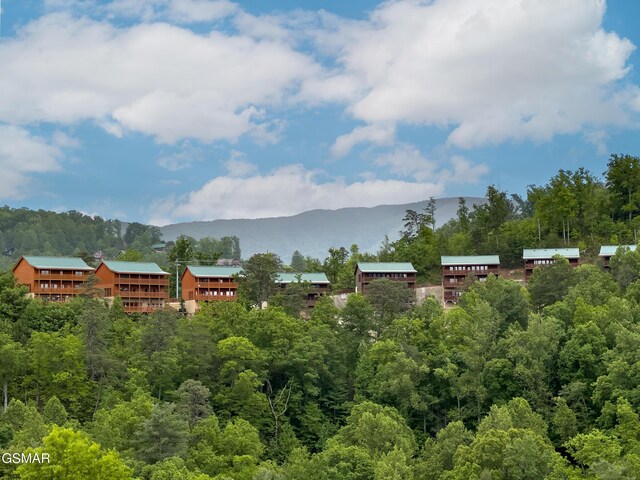 2316 Boulder Way, Sevierville, TN 37862 - view of mountain backdrop featuring a heavily wooded area