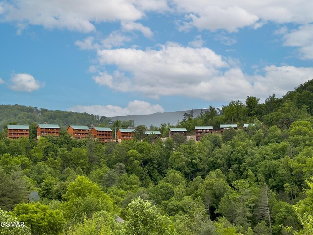 2316 Boulder Way, Sevierville, TN 37862 - view of mountain background featuring a heavily wooded area