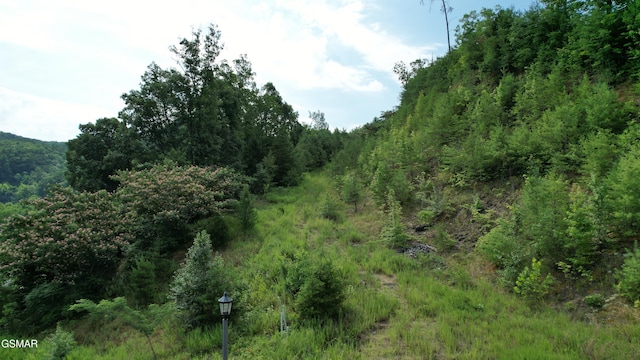 20-R/37-R Cherokee Valley Dr, Sevierville, TN 37862 - photo 21