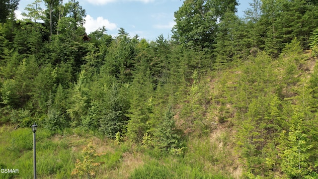 20-R/37-R Cherokee Valley Dr, Sevierville, TN 37862 - photo 12
