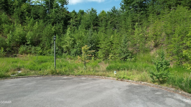 20-R/37-R Cherokee Valley Dr, Sevierville, TN 37862 - photo 9