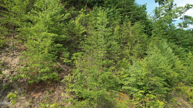 20-R/37-R Cherokee Valley Dr, Sevierville, TN 37862 - photo 33