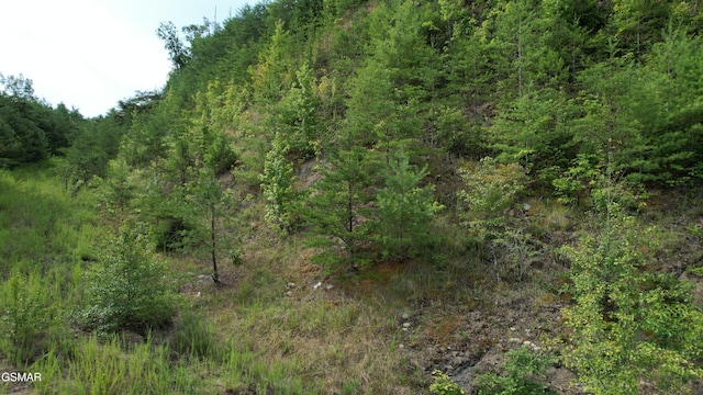 20-R/37-R Cherokee Valley Dr, Sevierville, TN 37862 - photo 28