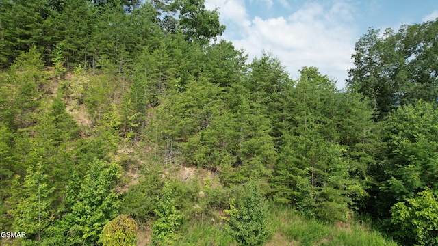 20-R/37-R Cherokee Valley Dr, Sevierville, TN 37862 - photo 10