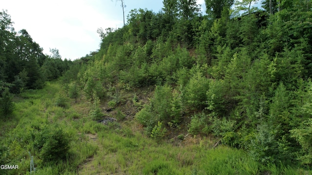 20-R/37-R Cherokee Valley Dr, Sevierville, TN 37862 - photo 20
