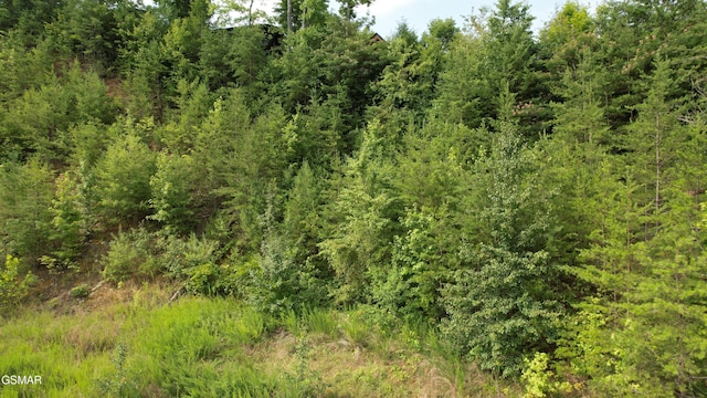 20-R/37-R Cherokee Valley Dr, Sevierville, TN 37862 - photo 19