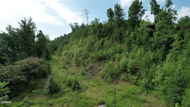 20-R/37-R Cherokee Valley Dr, Sevierville, TN 37862 - photo 17
