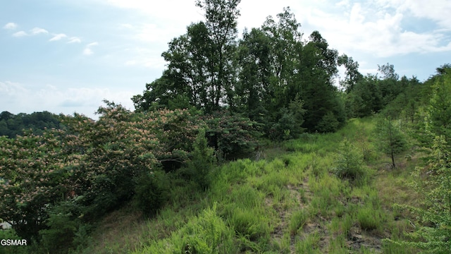 20-R/37-R Cherokee Valley Dr, Sevierville, TN 37862 - photo 25