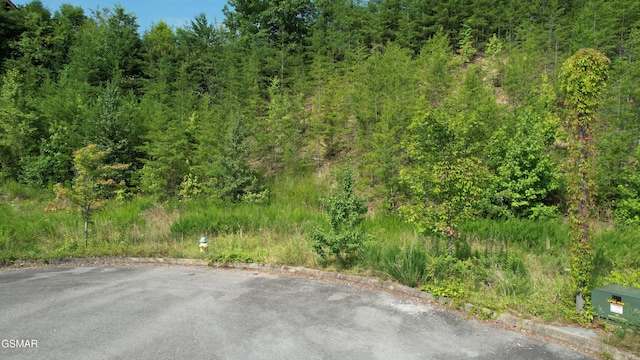 20-R/37-R Cherokee Valley Dr, Sevierville, TN 37862 - photo 8