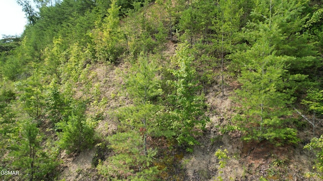 20-R/37-R Cherokee Valley Dr, Sevierville, TN 37862 - photo 34