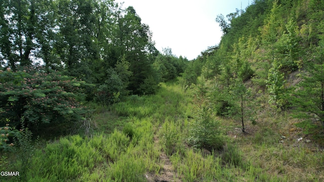 20-R/37-R Cherokee Valley Dr, Sevierville, TN 37862 - photo 27