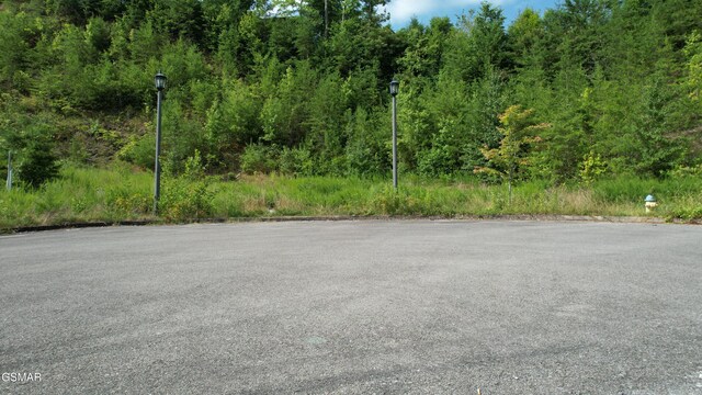 20-R/37-R Cherokee Valley Dr, Sevierville, TN 37862 - photo 4