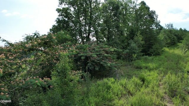20-R/37-R Cherokee Valley Dr, Sevierville, TN 37862 - photo 26