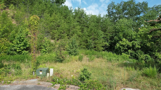 20-R/37-R Cherokee Valley Dr, Sevierville, TN 37862 - photo 6