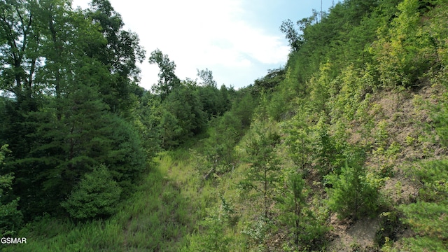20-R/37-R Cherokee Valley Dr, Sevierville, TN 37862 - photo 29