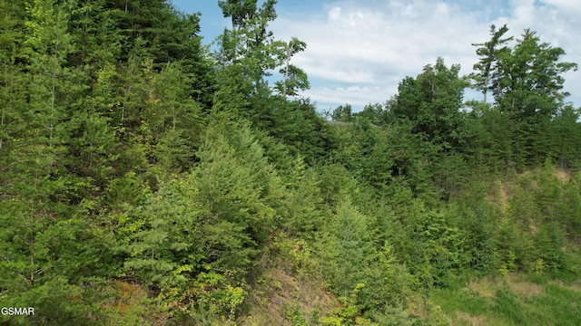 20-R/37-R Cherokee Valley Dr, Sevierville, TN 37862 - photo 32