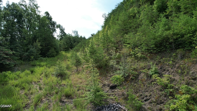 20-R/37-R Cherokee Valley Dr, Sevierville, TN 37862 - photo 23