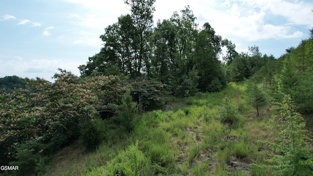 20-R/37-R Cherokee Valley Dr, Sevierville, TN 37862 - photo 24