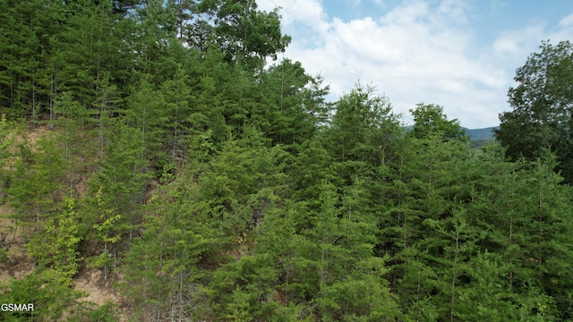 20-R/37-R Cherokee Valley Dr, Sevierville, TN 37862 - photo 14