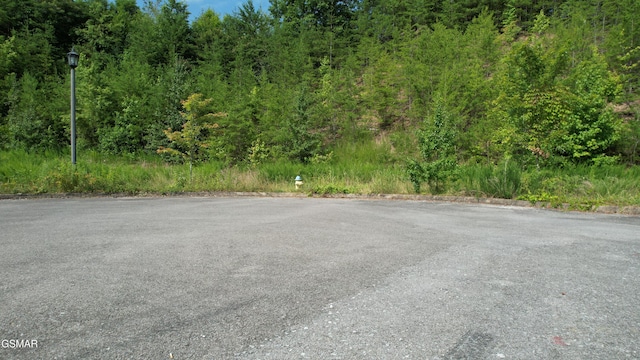20-R/37-R Cherokee Valley Dr, Sevierville, TN 37862 - photo 3
